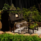 36th Connecticut Flower & Garden Show Coming to Hartford Video