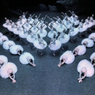 Derek Deane to Present a Grand Version of SWAN LAKE
