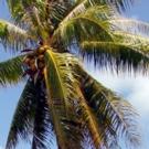 Theater Now New York Premieres WELCOME TO PARADISE at 2015 Thespis Theater Festival…