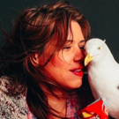 EDINBURGH 2016: BWW Q&A - Lou Sanders