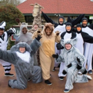 New Stage Theatre Presents MADAGASCAR - A MUSICAL, Thru 2/3 Video