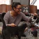 BWW Exclusive: TAILS OF BROADWAY- Meet Ariana DeBose's Feline Friends, Freddy and Izzy!