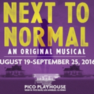 NEXT TO NORMAL Next Up at Pico Playhouse Video