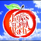 BWW Interview:  Stephen Fox and JAMES AND THE GIANT PEACH at The Growing Stage Video