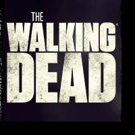 THE WALKING DEAD Cast to Appear on Bravo's INSIDE THE ACTORS STUDIO Video