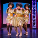 BWW Review: DREAMGIRLS Serenades Birmingham With Song, Soul and Sparkle Video