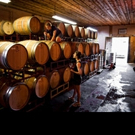 Garden State Wine Growers Association to Hold “Barrel Trail Weekend” July 16 and  Video