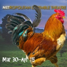 Metropolitan Ensemble Theatre Presents Midwestern Premiere of TENNESSEE PLAYBOY Video