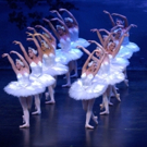 BWW Review: Maine State Ballet Mounts Impressive SWAN LAKE Video