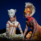 The 25th Global Production and First International Tour of Disney's THE LION KING wil Video