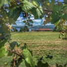 Finger Lakes Winery Invests in New Winemaking Equipment