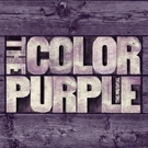 Full Cast Announced for Broadway-Bound THE COLOR PURPLE; Previews Begin 11/10 Video