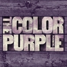 Full Cast Announced for Broadway-Bound THE COLOR PURPLE; Previews Begin 11/10