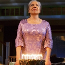 Photo Flash: First Look at Phylicia Rashad, Robert Joy & More in HEAD OF PASSES at The Public