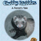 M.J. Abrams Launches Contest to Win 2006 Book CHUBBY WUBBLES