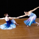 North Shore Civic Ballet's Holiday Auction Opening November 7 with Proceeds to Train 