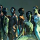Review Roundup: Dance Theatre Of Harlem Video