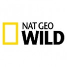 Nat Geo WILD to Premiere New Digital Series UNTAMED WITH FILIIPE DEANDRADE, March 2017