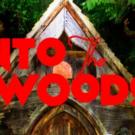 BWW Reviews: Summer Stock Austin Presents Charming INTO THE WOODS Video