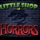 Slow Burn Theatre Company to Present LITTLE SHOP OF HORRORS, 6/5-28 Video