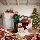Harry Shearer and Judith Owens Present A CHRISTMAS WITHOUT TEARS Video