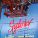 STAGE TUBE: SYLVIA Marks Its Territory at The Cort Theatre