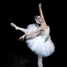 Festival Ballet Providence to Stage SWAN LAKE This Spring