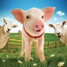 Polka Theatre to Present BABE, THE SHEEP-PIG Before Launching National Tour! Video