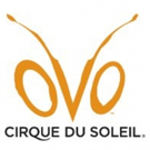 Cirque du Soleil brings OVO to Royal Albert Hall Video