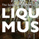 The SPCO's Liquid Music Series to Present Steven Mackey Video