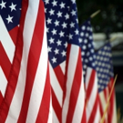 UPDATED: FREEBIES for Veteran's Day Video