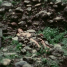 Ana Mendiet Exhibition ENERGY CHARGE on View at ASU Art Museum