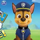 PAW PATROL LIVE! Coming to Theater at Madison Square Garden in 2017 Video