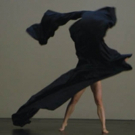 REDCAT to Present Isabelle Schad and Laurent Goldring's Dance-Theater Work DER BAU Video