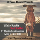 12 Peers Presents WHITE RABBI RED RABBIT by Nassim Soleimanpour This April Video