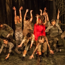 Photo Flash: First Look at stop/time dance theater's ROCKIN' THE FOREST Video
