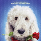 Family Comedy IN THE DOGHOUSE Coming to DVD and VOD 4/18