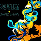 Naughty Professor Release Video and First Listen of New Song 'Stray' Video
