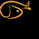 Amberjack Publishing Announces 2016 Fiction Title Releases