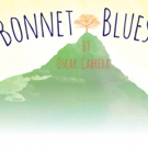 Oscar Cabrera's BONNET BLUES Gets Developmental Reading Video