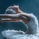 Boston Ballet to Launch Spring Season with SWAN LAKE Video