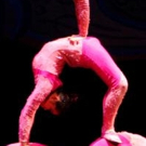 Brooklyn Center for the Performing Arts to Welcome The Golden Dragon Acrobats, 3/13 Video