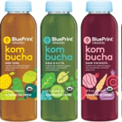 BluePrint' Organic Expands Beverage Varieties with Launch of Kombucha Drinks