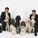 AMERICA'S GO TALENT's OLATE DOGS to Woof at The King Center This Winter