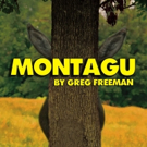 Greg Freeman's MONTAGU to Play Tabard Theatre This Spring Video