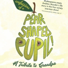 Andrew Mondia to Debut CONFESSIONS OF A PEAR-SHAPED PUPIL at Orlando Fringe