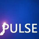THE PULSE PROJECT to Benefit Gays Against Guns at Assembly Hall Video