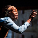 Children's Theatre Company to Bring SEEDFOLKS to Cape Town, Seattle and Nine Minnesot Video