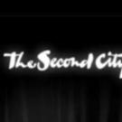 The Second City Coming to The Cape Playhouse, 9/15-19 Video