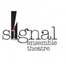 Signal Ensemble Theatre's Final Production THE CONSULTANT Begins This Month Video